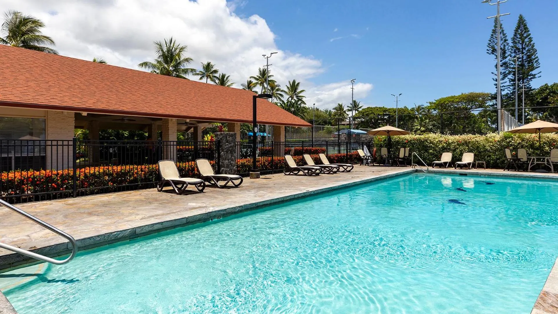 Plan Your Hawaii Vacay At Grace'S Oasis Kailua-Kona Casa vacanze