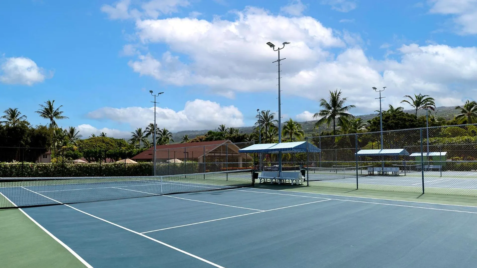 Plan Your Hawaii Vacay At Grace'S Oasis Kailua-Kona