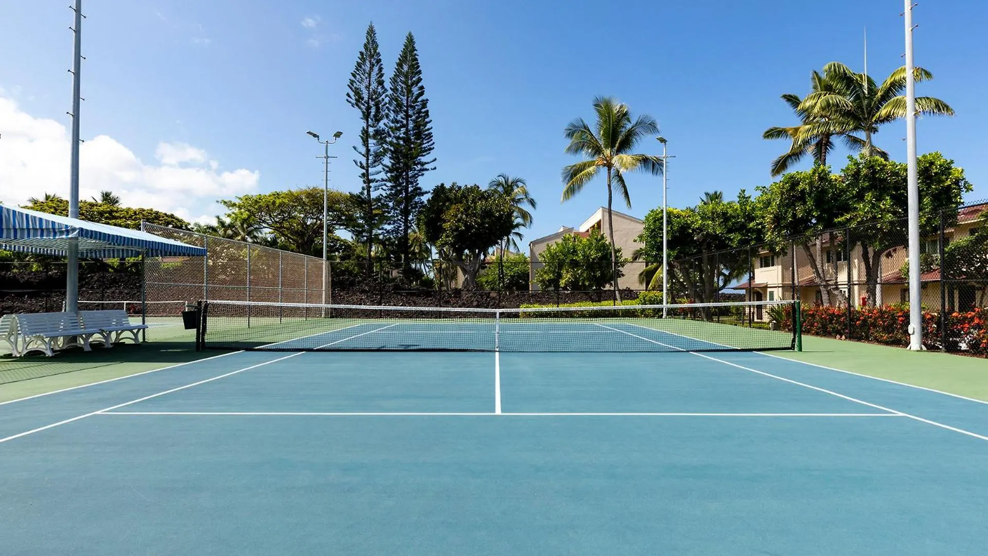 Casa vacanze Plan Your Hawaii Vacay At Grace'S Oasis Kailua-Kona