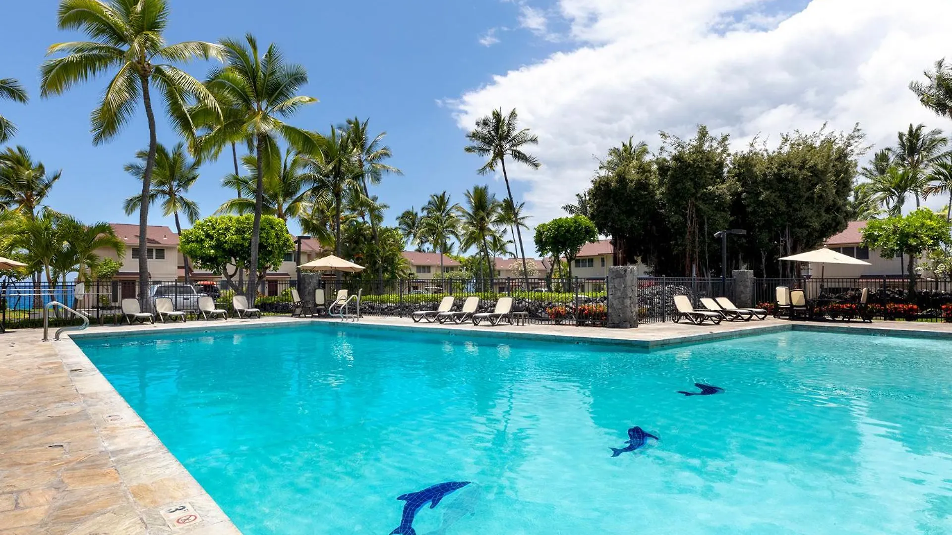 Casa vacanze Plan Your Hawaii Vacay At Grace'S Oasis Kailua-Kona Stati Uniti