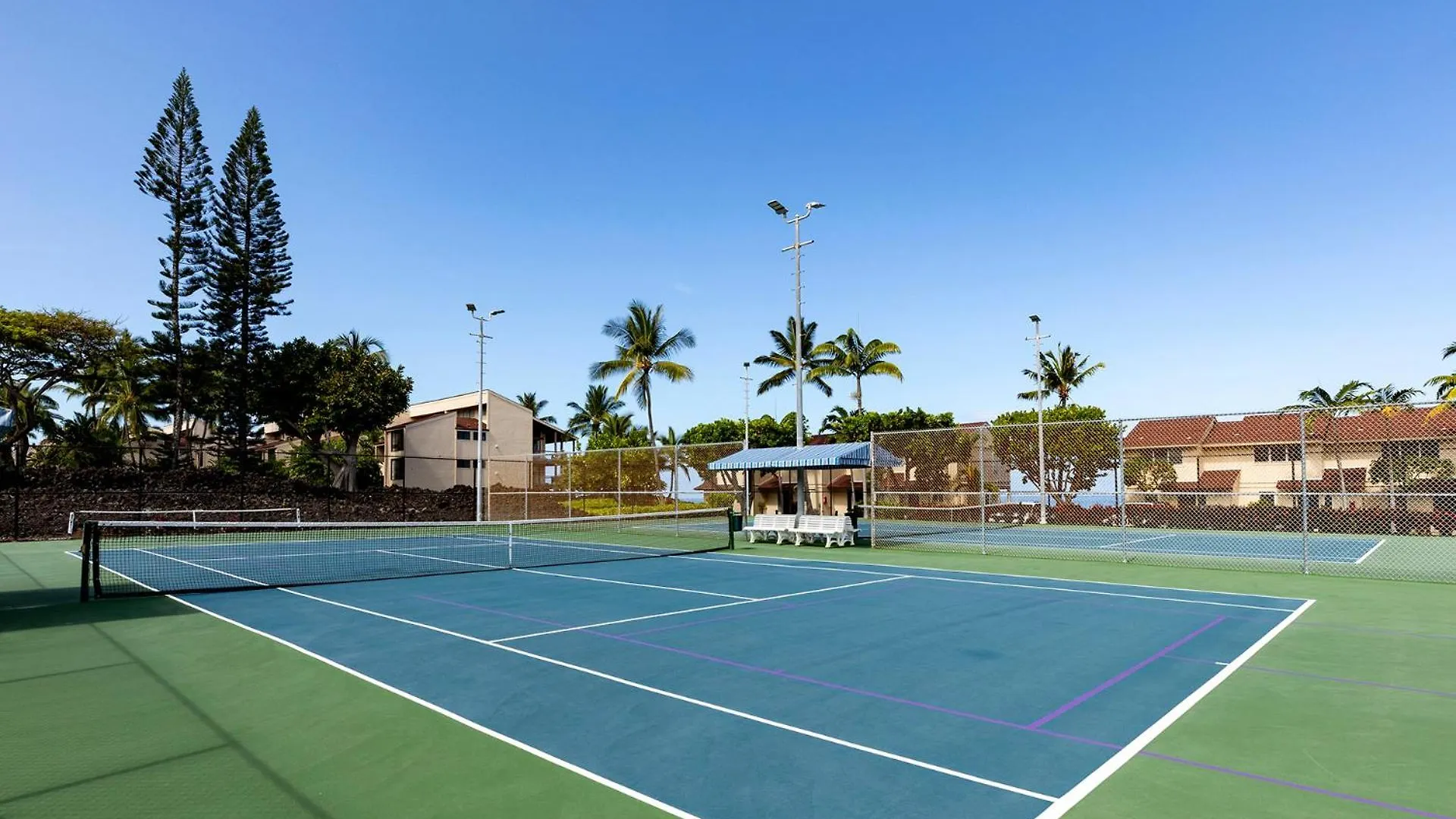 Plan Your Hawaii Vacay At Grace'S Oasis Kailua-Kona Casa vacanze