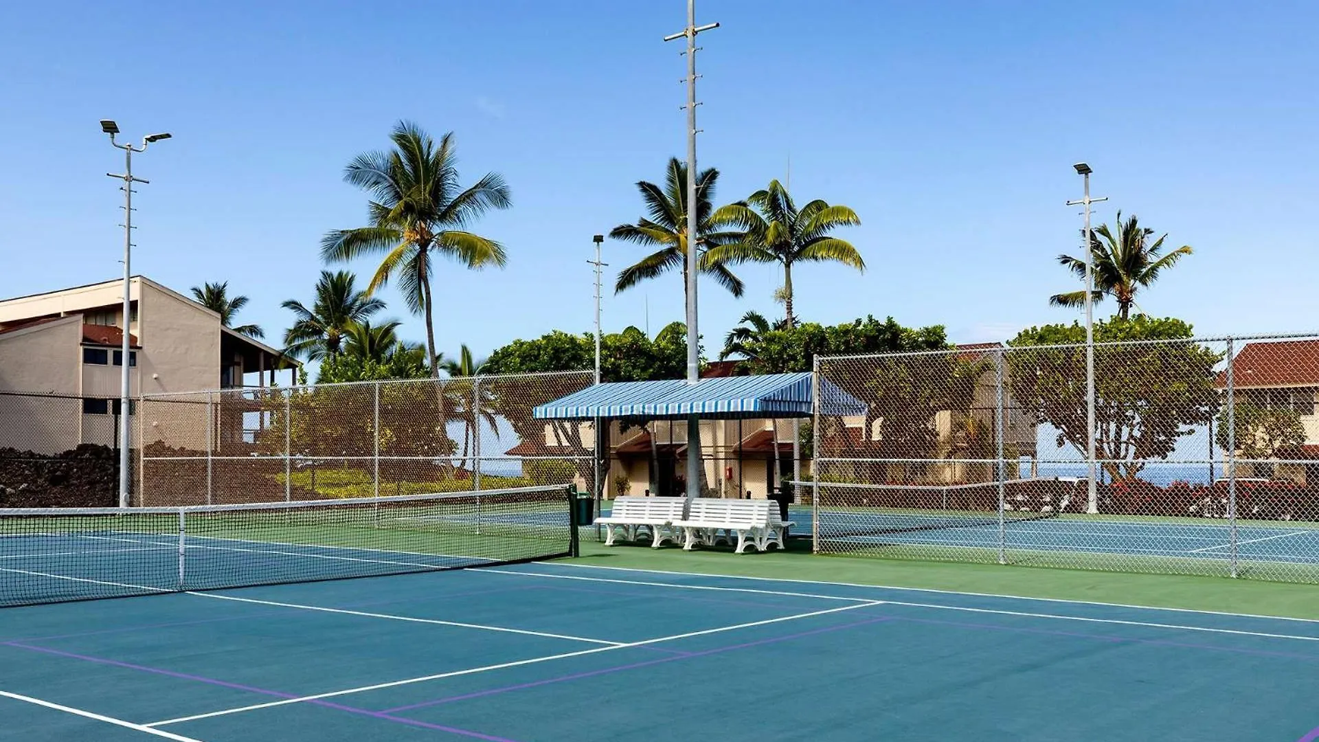 Casa vacanze Plan Your Hawaii Vacay At Grace'S Oasis Kailua-Kona Stati Uniti