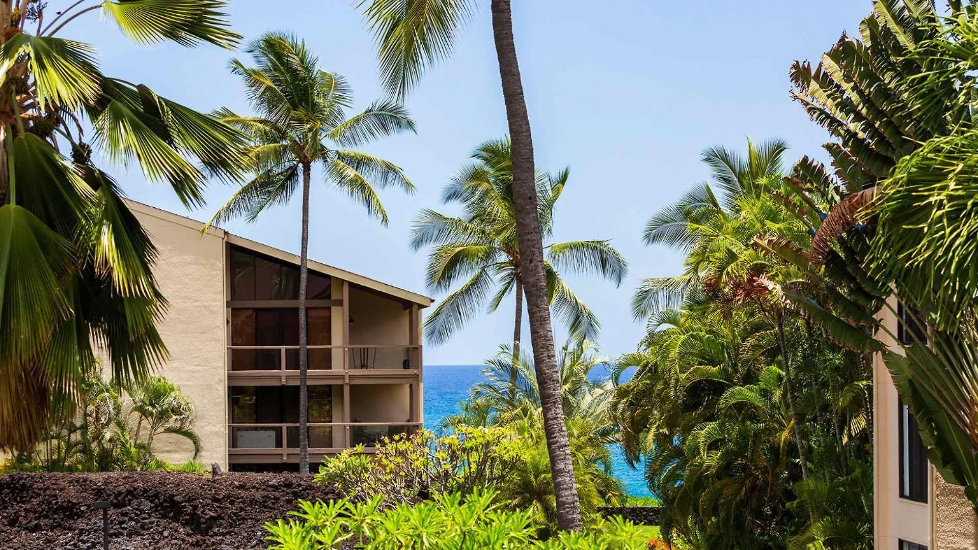 Plan Your Hawaii Vacay At Grace'S Oasis Kailua-Kona 0*,