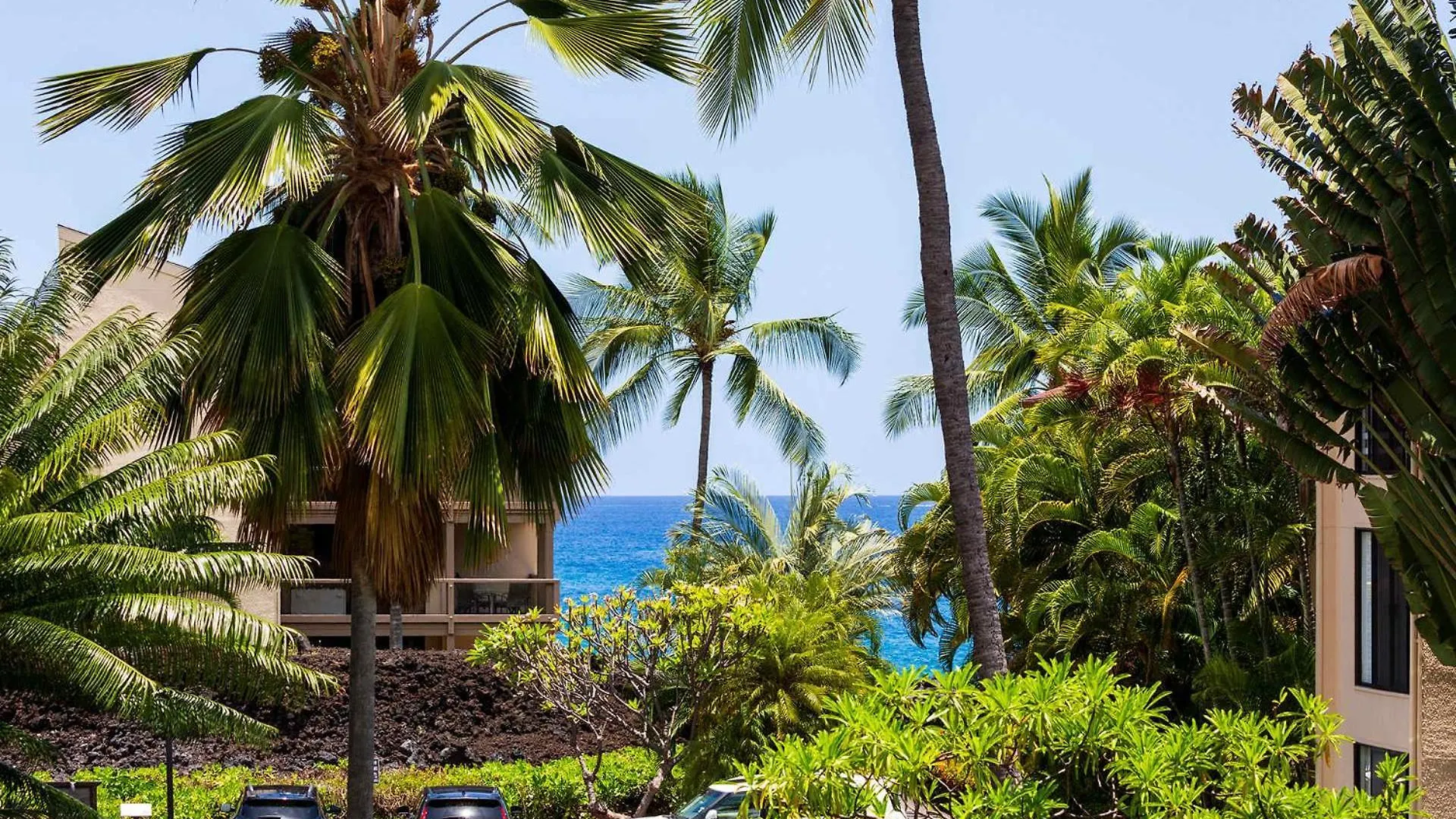 Plan Your Hawaii Vacay At Grace'S Oasis Kailua-Kona Casa vacanze
